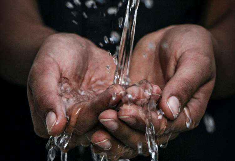 Pair of hands holding water